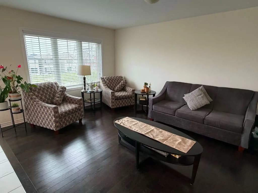 Spotless modern living room with sofa and patterned chairs after a professional home clean
